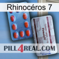 Rhinocéros 7 36